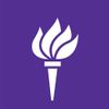 NYU Bootcamps logo