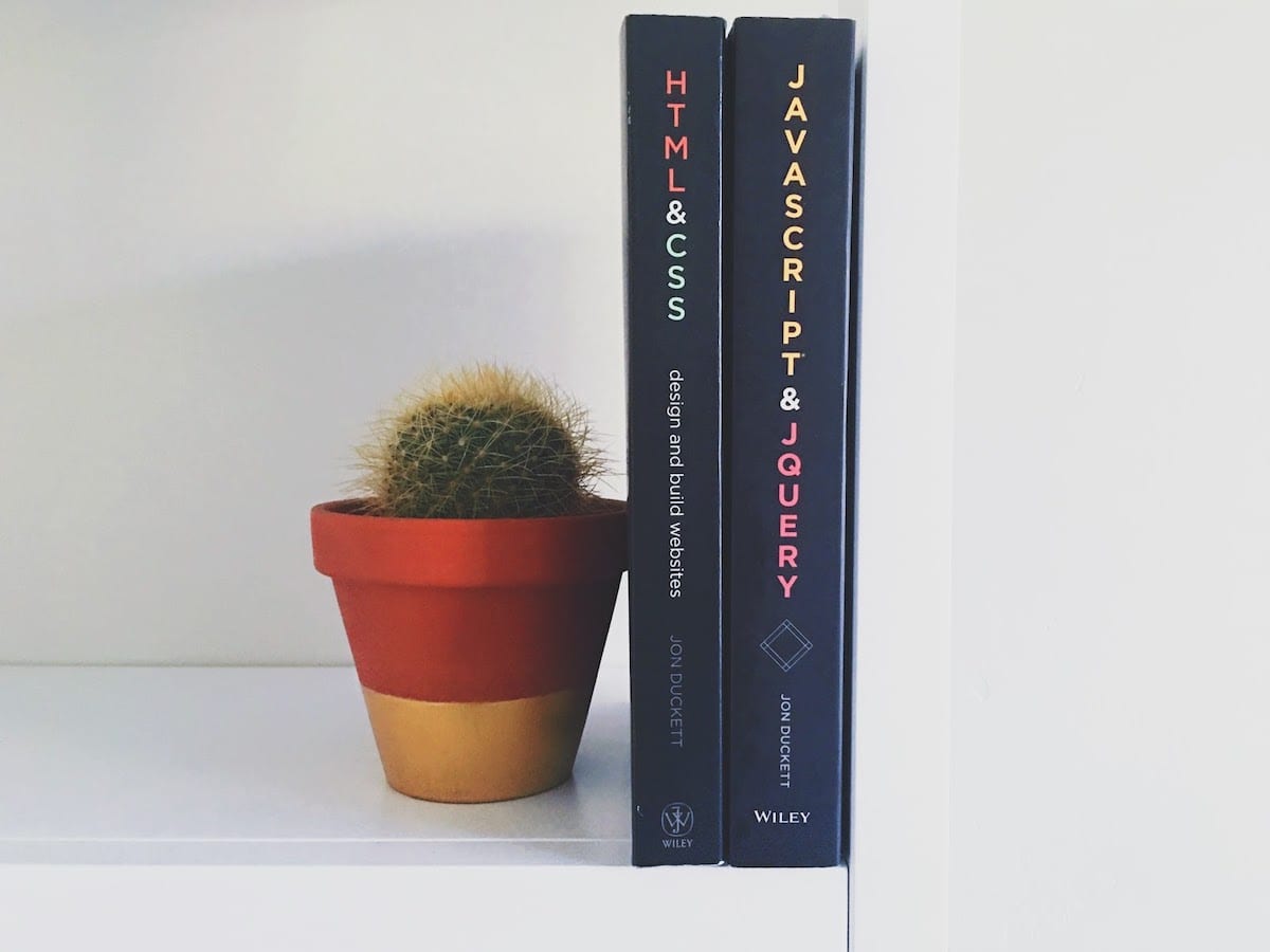 Front end development books lined up next to a potted cactus on a shelf