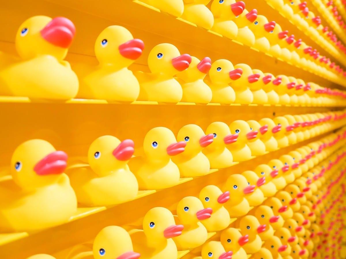 Rubber ducks on shelves