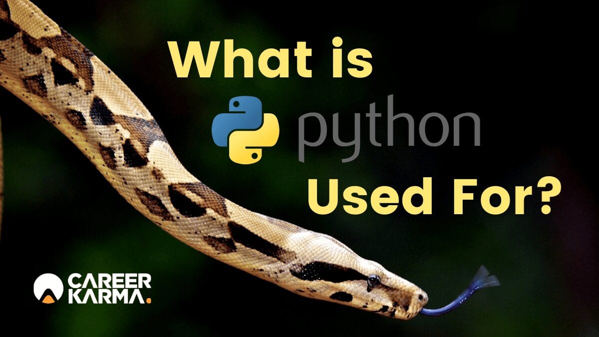 Why I'm Learning to Write Python