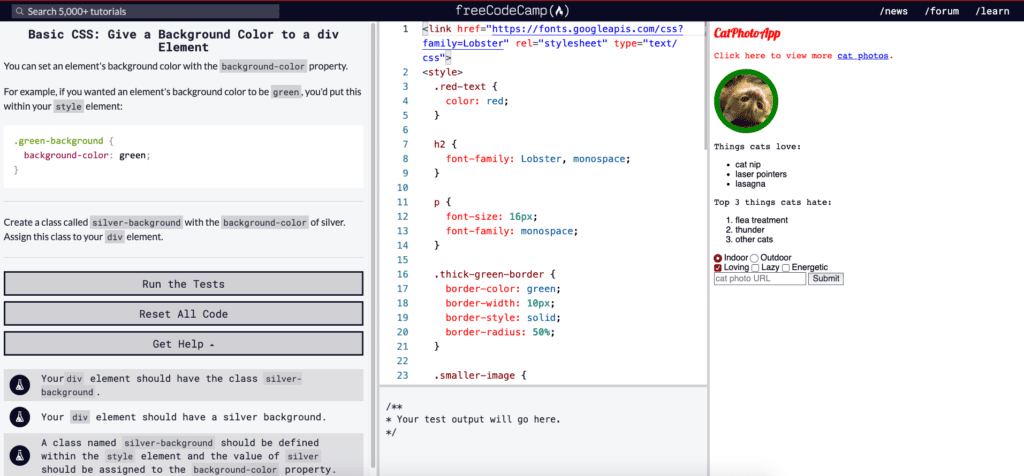 freecodecamp lesson platform screenshot