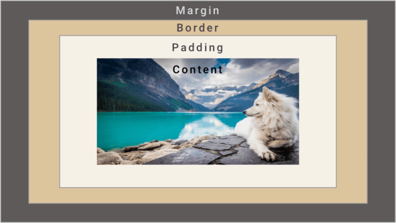 CSS Padding vs Margin: How to Tell the Difference | Career Karma