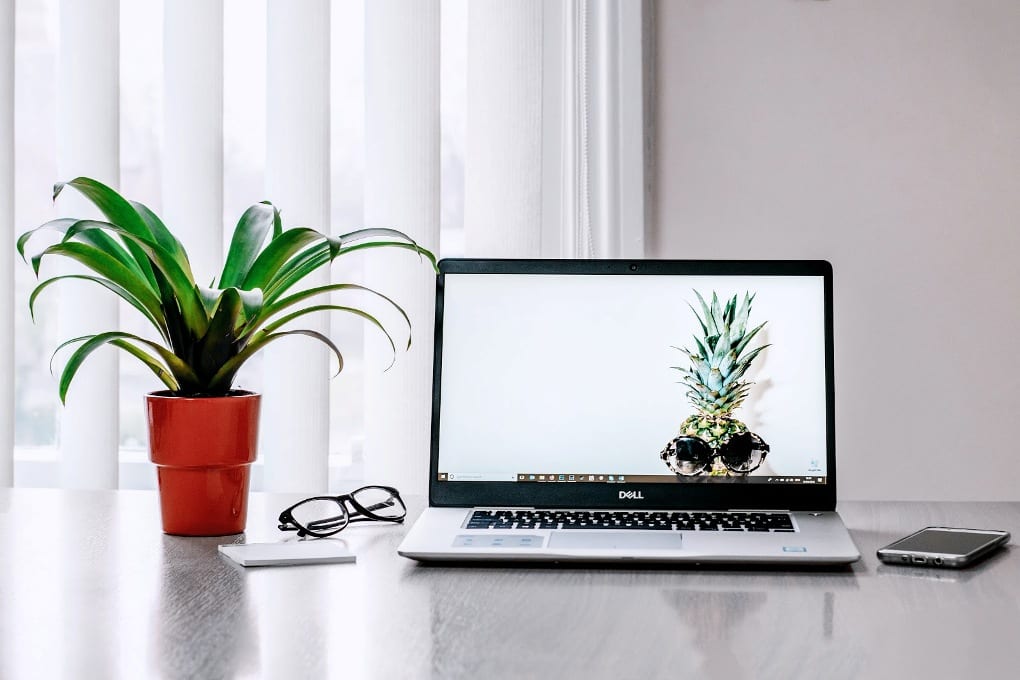 a white laptop with a pineapple wallpaper