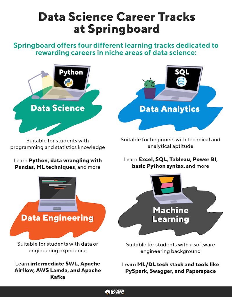 An infographic covering Springboard’s Data Science Career Tracks
