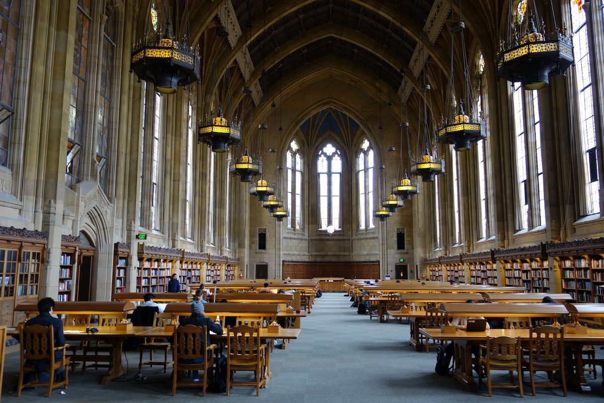 Library with tall ceilings and rows of tables. English Bachelor's Degrees