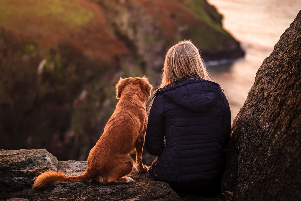 woman sitting with dog near an ocean. How Much Can You Make on Wag?