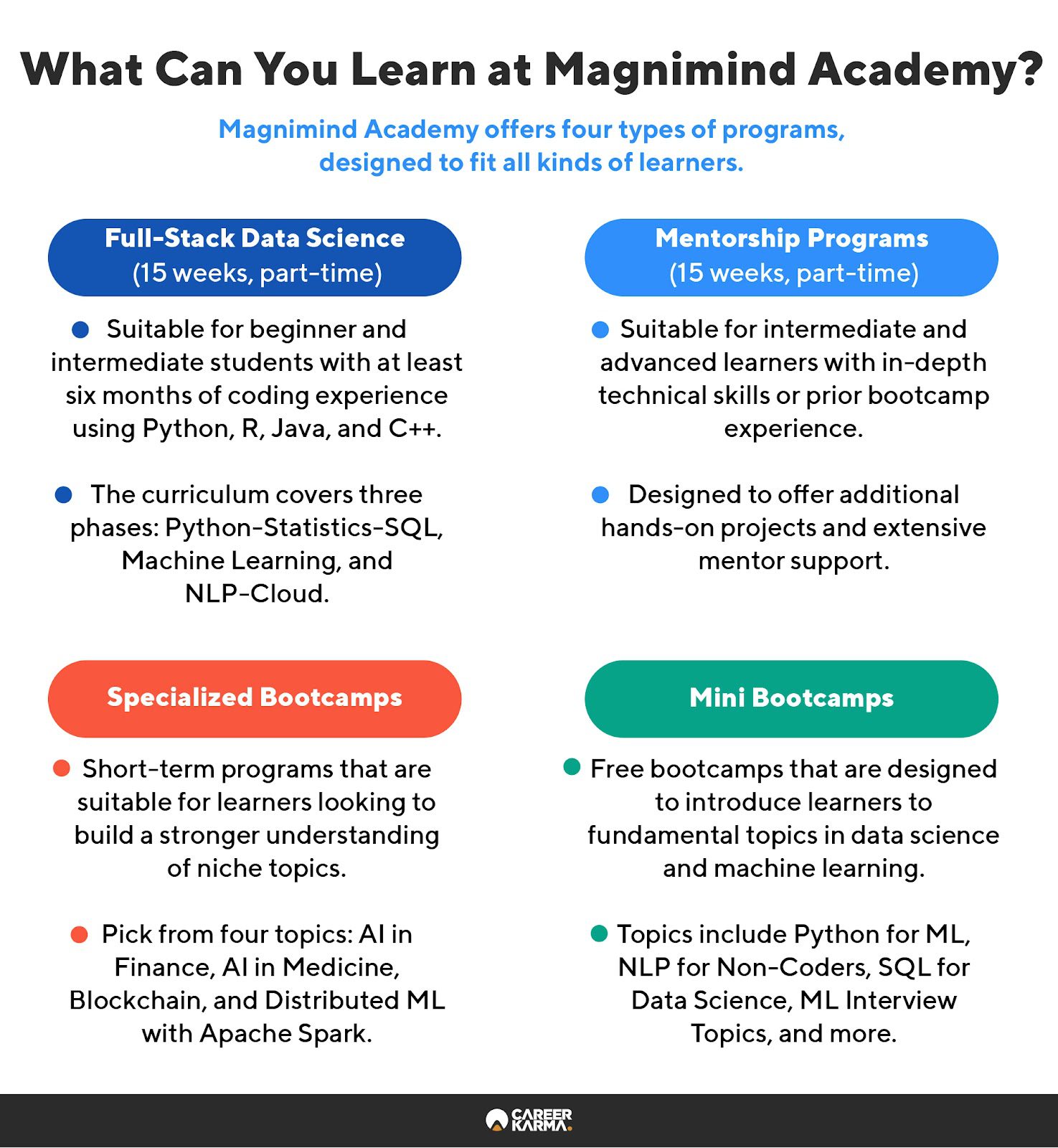 An infographic highlighting the four kinds of programs at Magnimind Academy