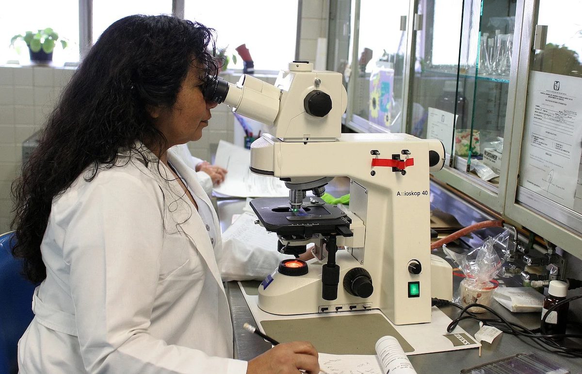 A specialist analyzing biological specimens in a lab Masters In Bioinformatics Scholarships