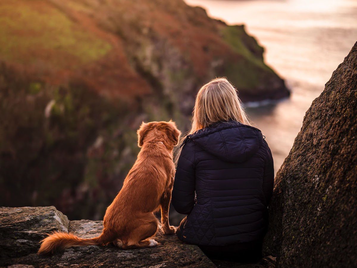 A woman and a dog sitting on a cliff looking at the ocean.  How Much Can You Make on Rover?