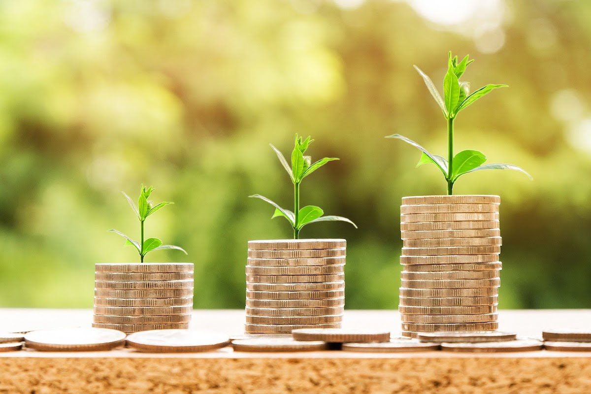 Columns of coins placed side by side with leaves branching out of them