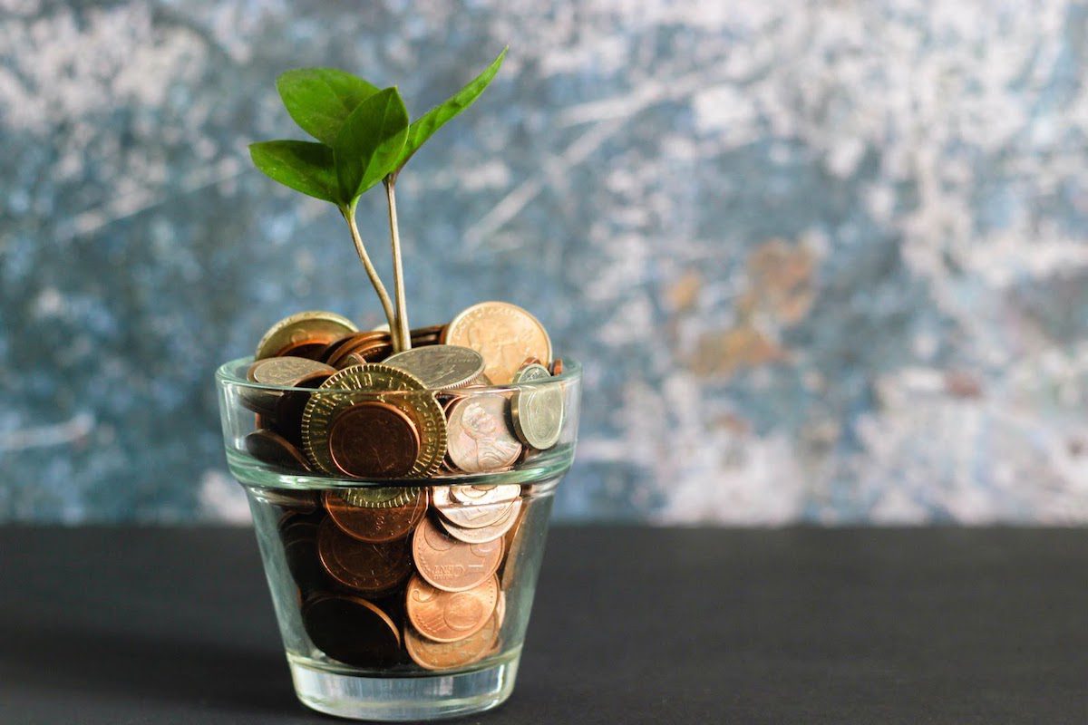 a glass filled with coins with a plant growing out of it.
