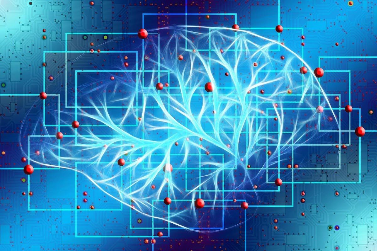 An image of the inside of a brain built with artificial intelligence