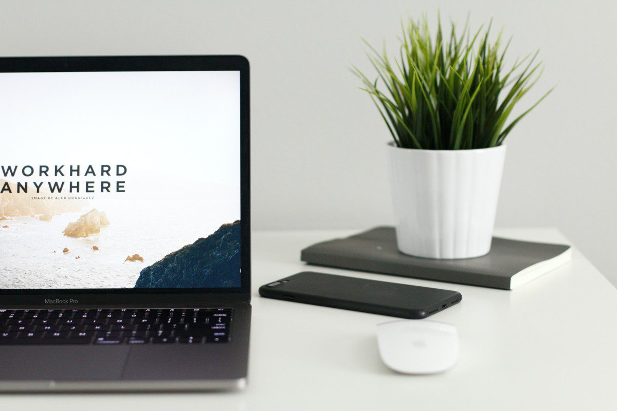 A laptop on a desk with a potted plant.