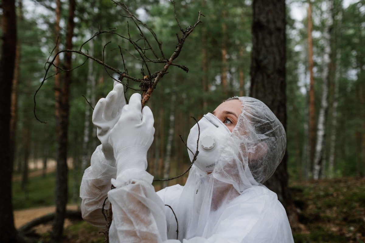 An environmental engineer wearing personal protective equipment and holding a tree branch.