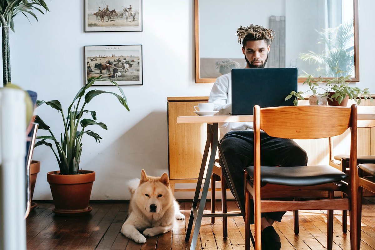 An online student works on their laptop at the kitchen table in their home beside their dog Best Online Information Science Bachelor's Degrees