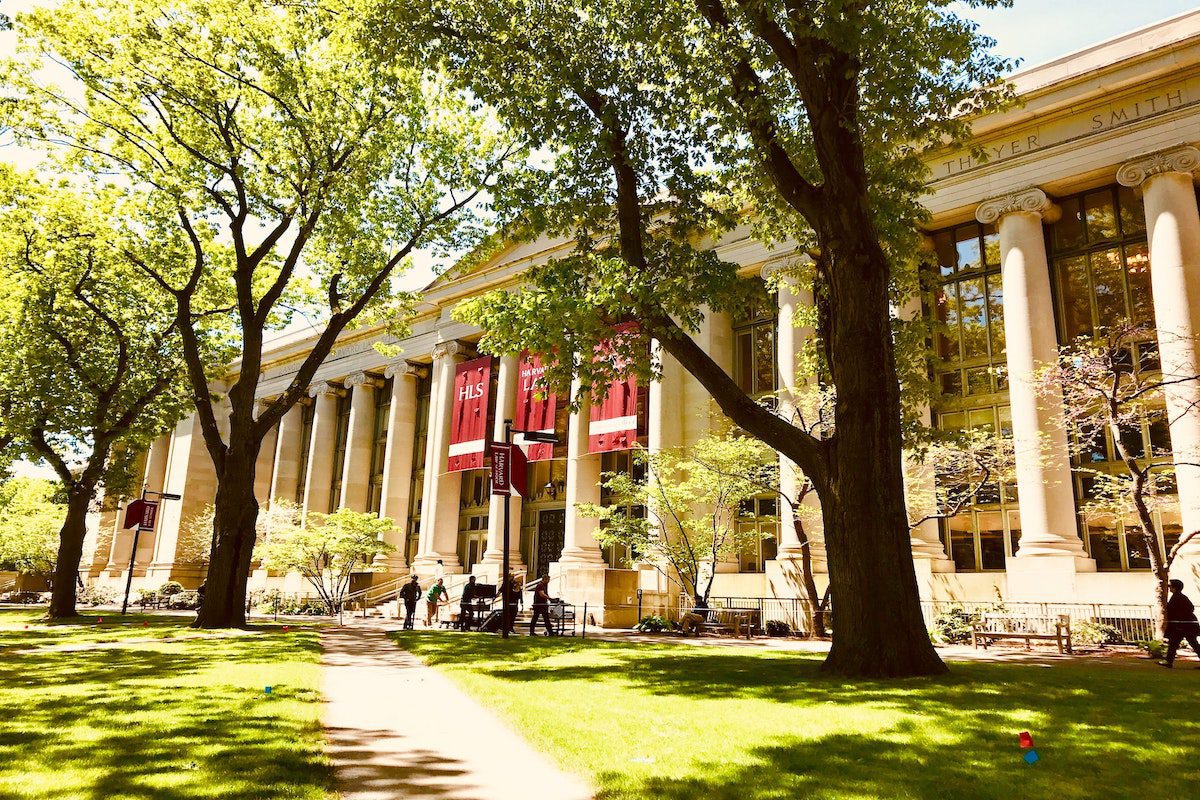 Top 10 Harvard Online Courses for Business Professionals