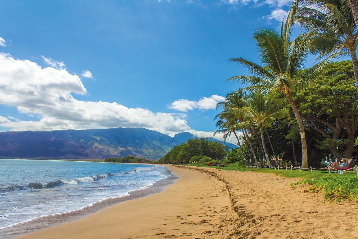 Panoramic view of a beach in Hawaii