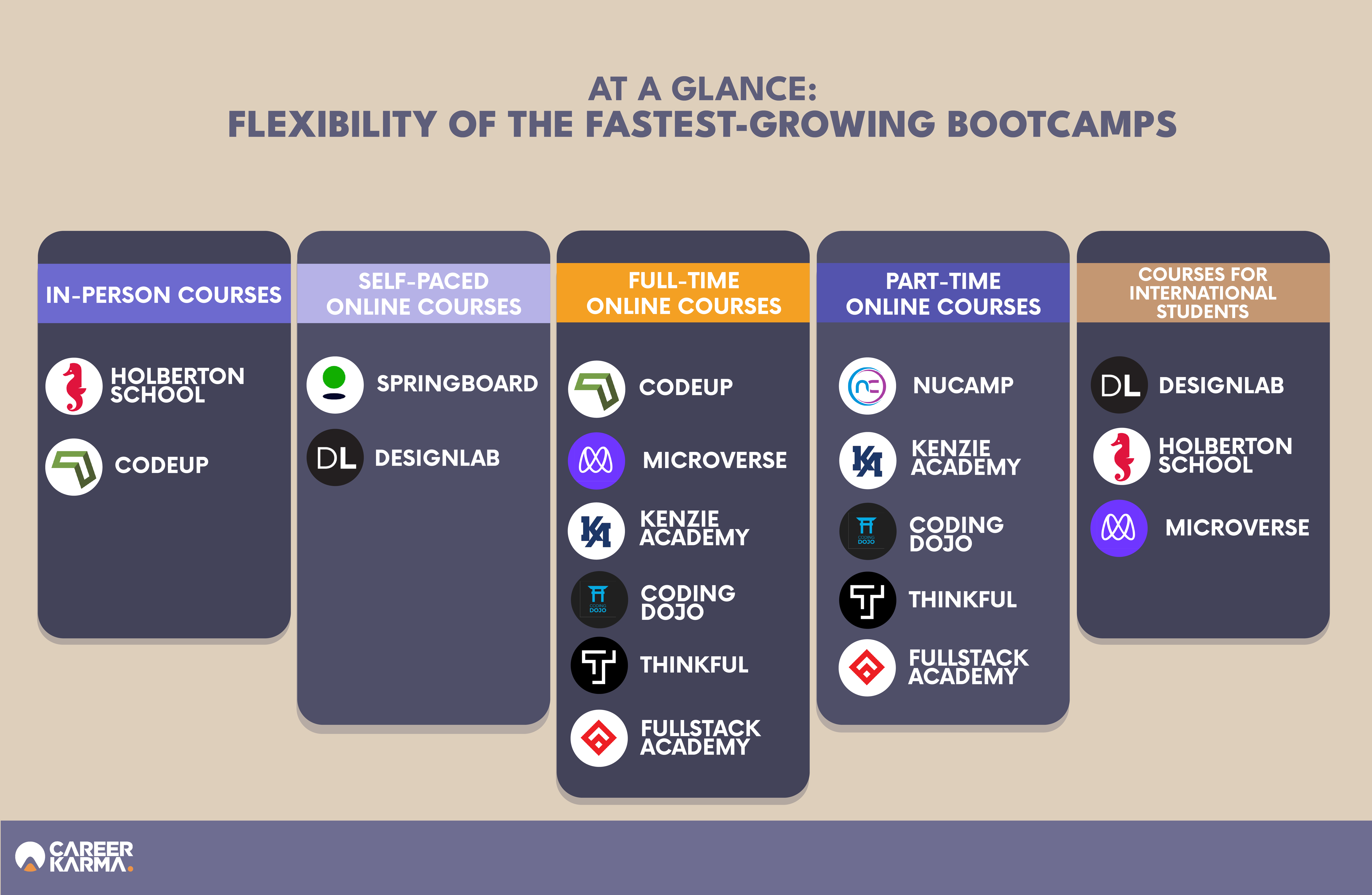 Formats of fastest growing bootcamps 2023 infographic