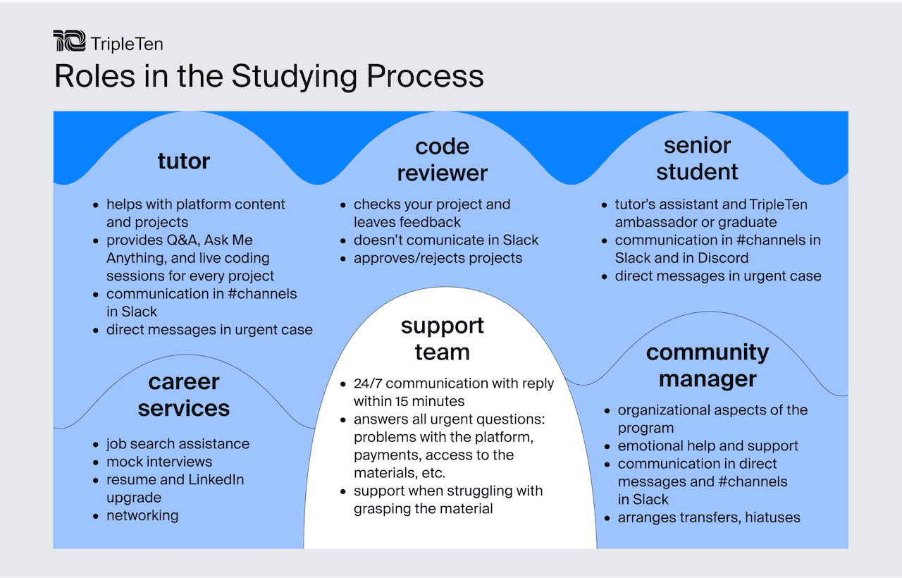 Infographic covering Practicum’s support team